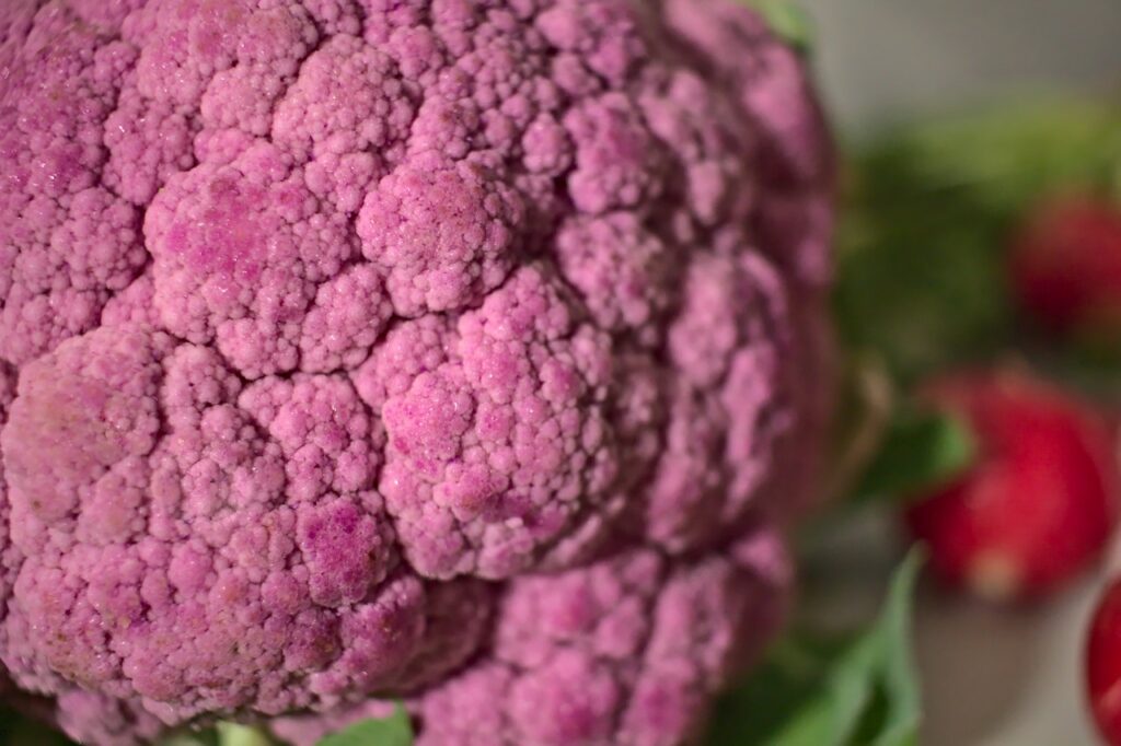 Closeup photo of purple cauliflower