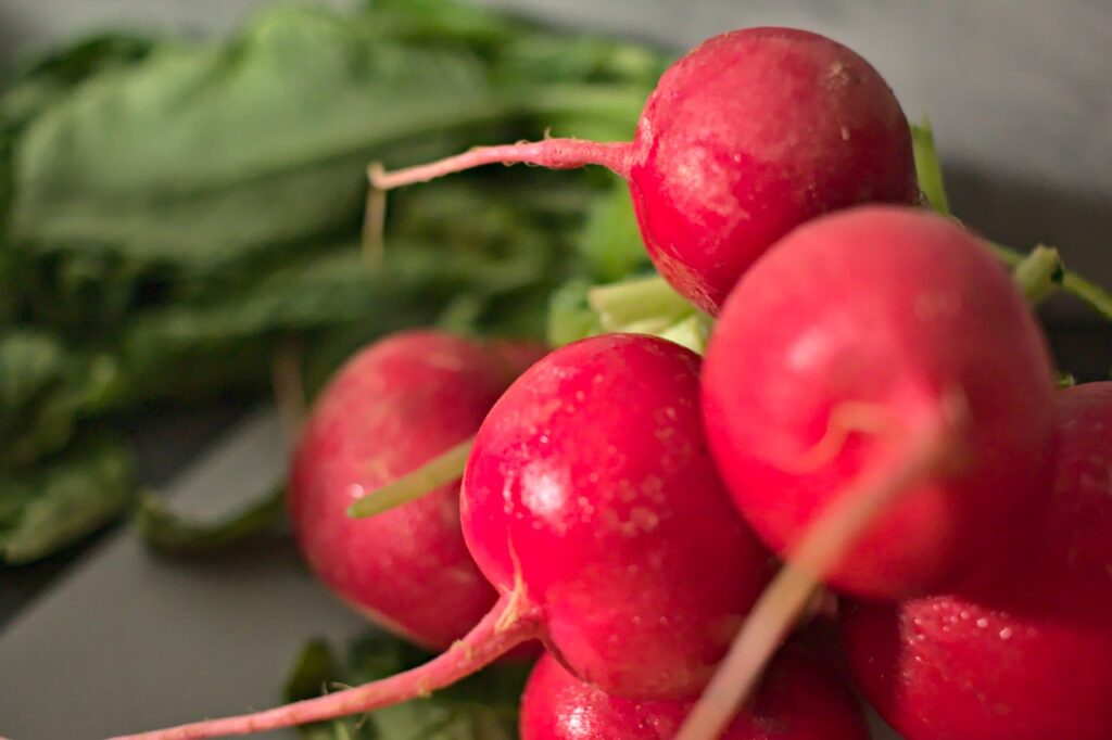 Closeup photo of radishes